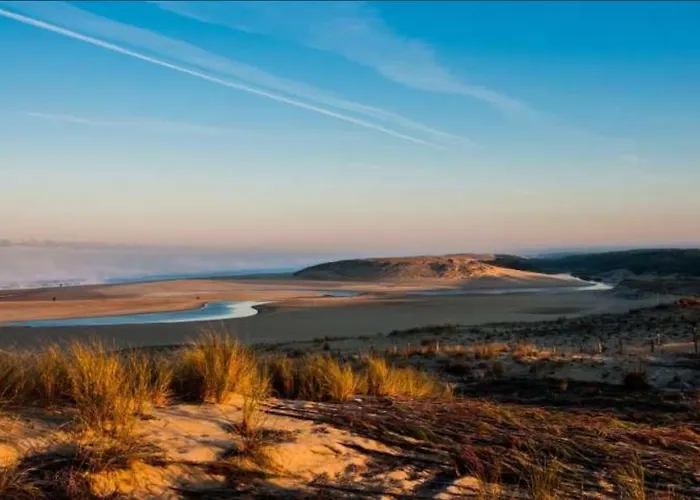 Apartment Proche Et Leon